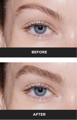 all eyebrows
